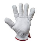 Guante-Cabritilla-sin-forro-Pack-10-unidades-Talla-L